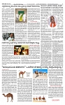 SURYA PRAGATHI 09-01-2026-page-003